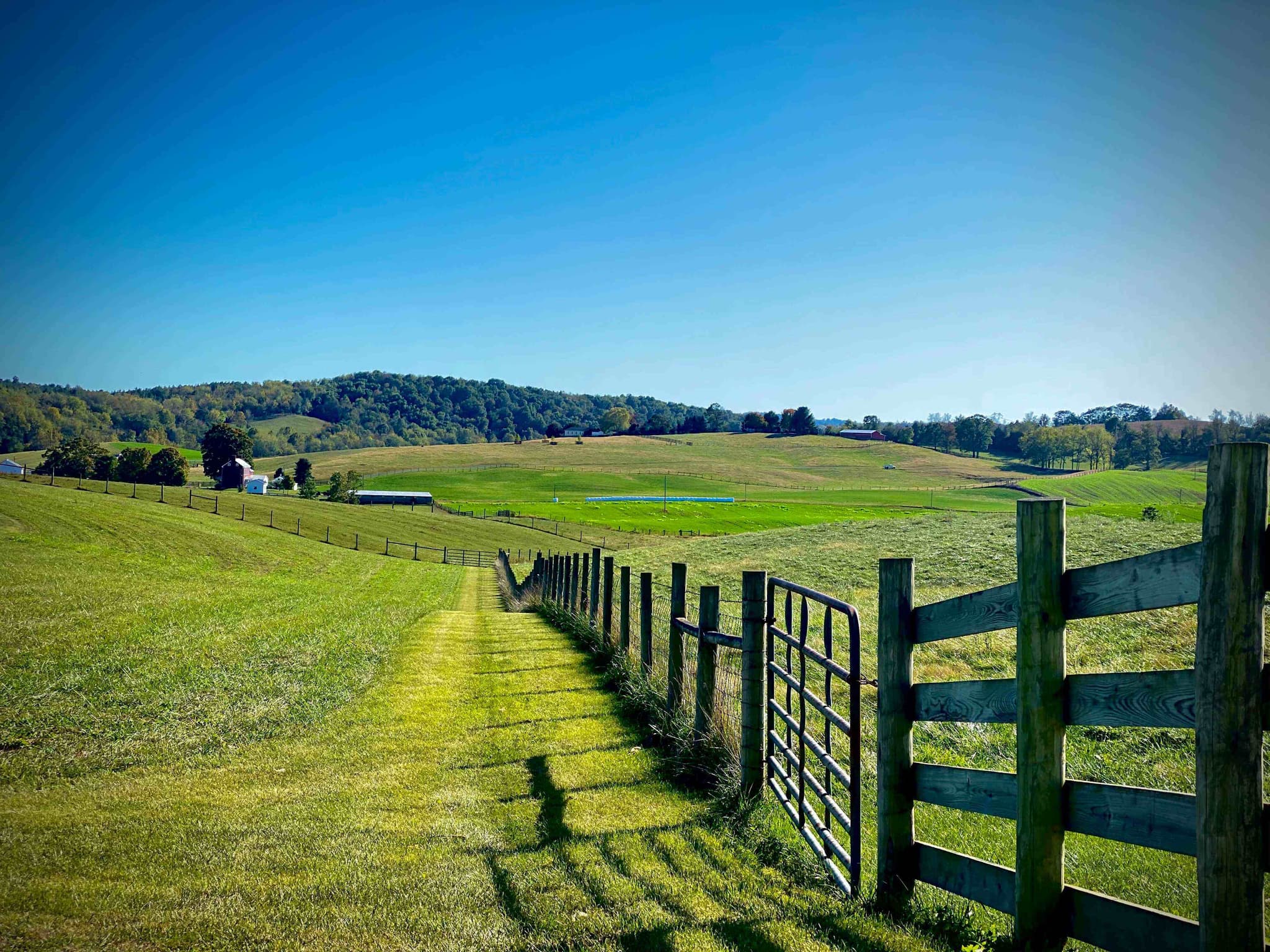 Agricultural Fencing